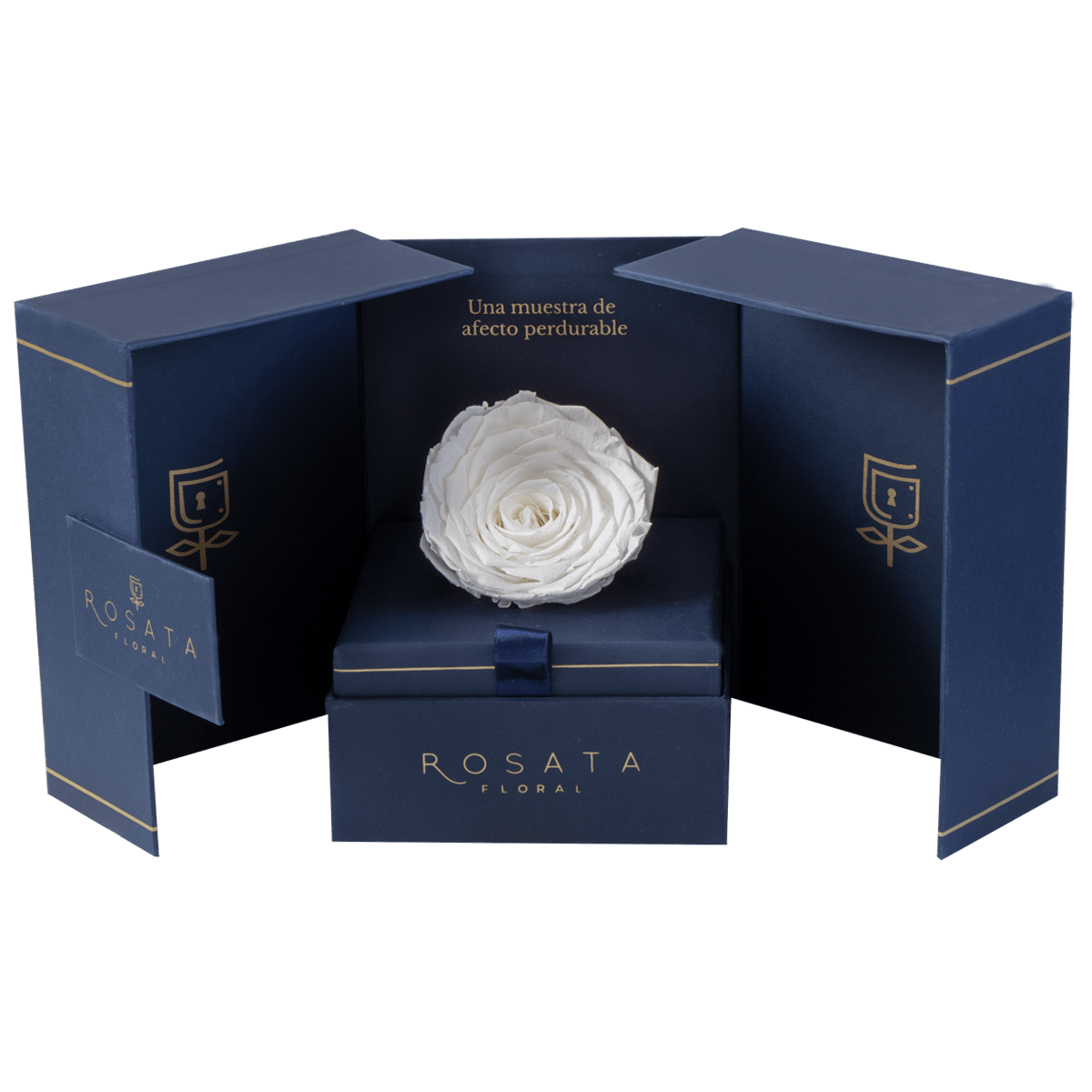 Eternal Saphiro Blanca - arreglo de rosas - Rosata Floral