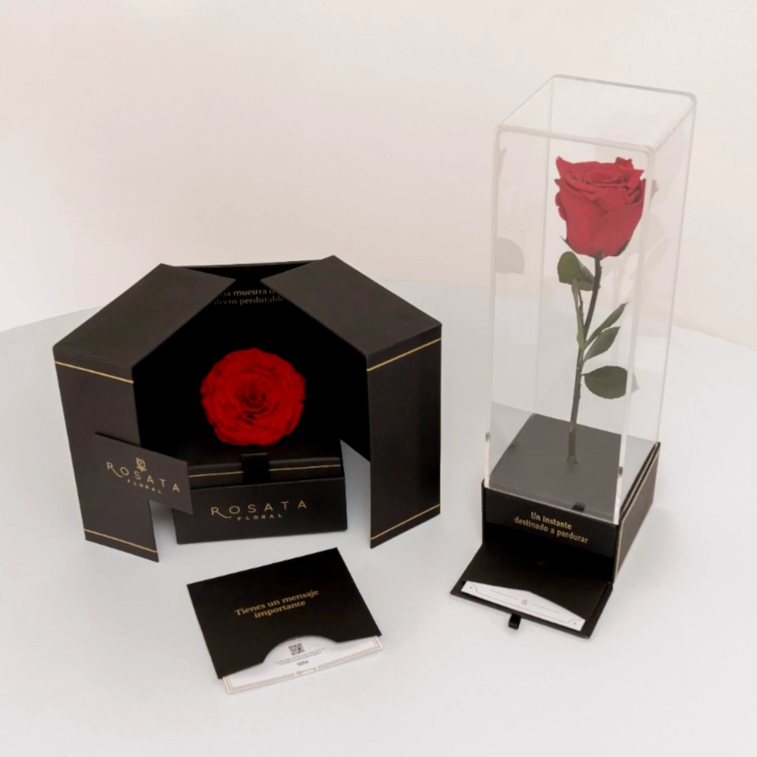 Dúo: Contraste perfecto - arreglo de rosas - Rosata Floral