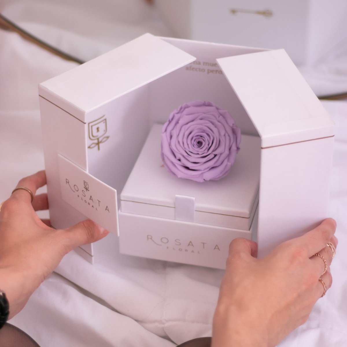 Eternal White Lila - Envío Nacional - arreglo de rosas - Rosata Floral