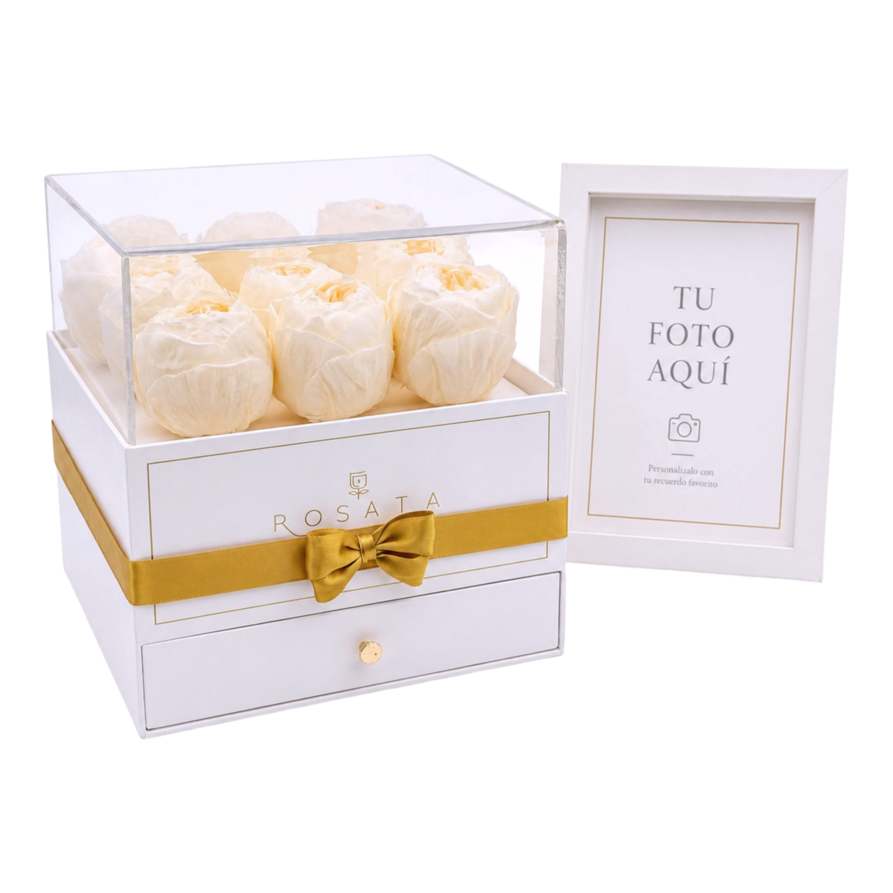 HARMONIA WHITE | 9 PEONIAS CON MARCO Y FOTO