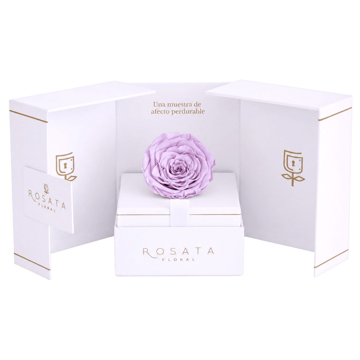 Eternal White - arreglo de rosas - Rosata Floral