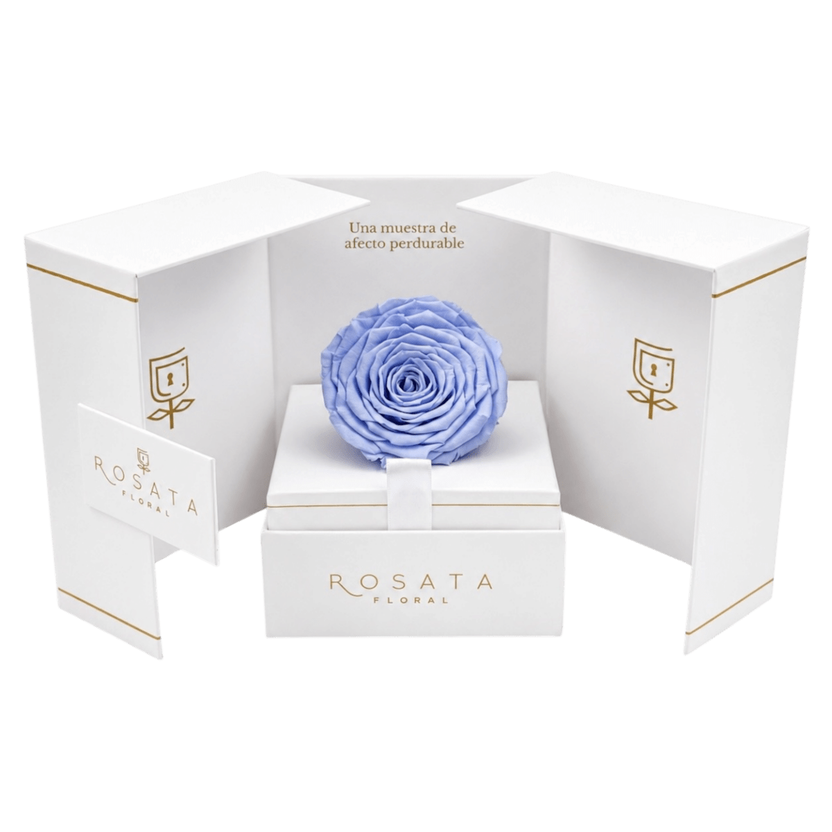 Eternal White - arreglo de rosas - Rosata Floral
