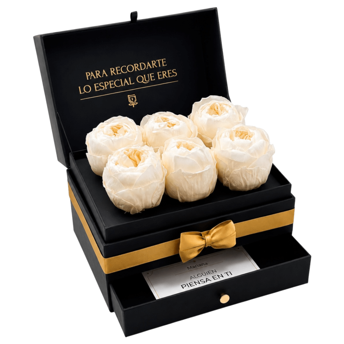 Cofret | 6 Peonias - arreglo de rosas - Rosata Floral