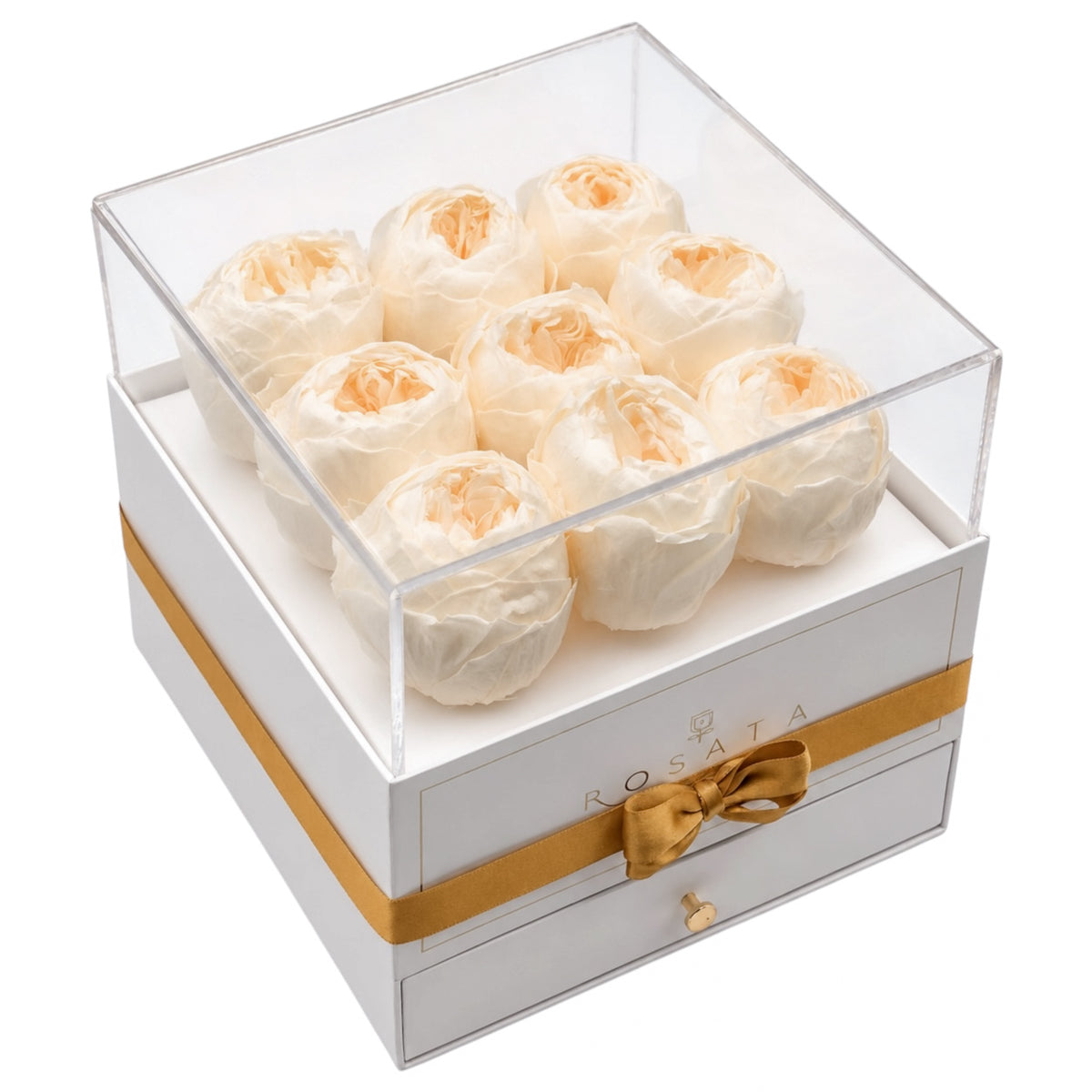 Harmonia White | 9 Peonias