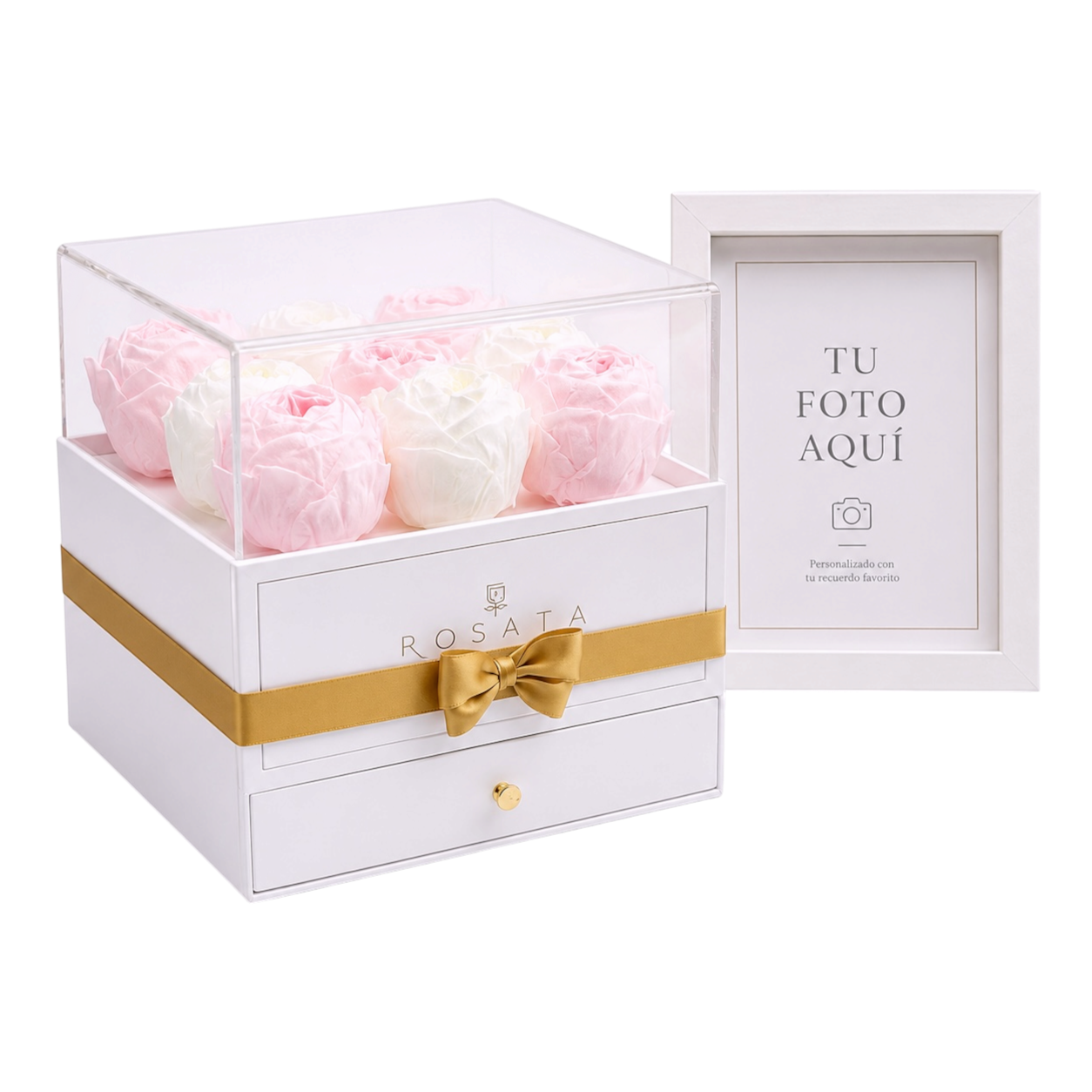 HARMONIA WHITE | 9 PEONIAS CON MARCO Y FOTO