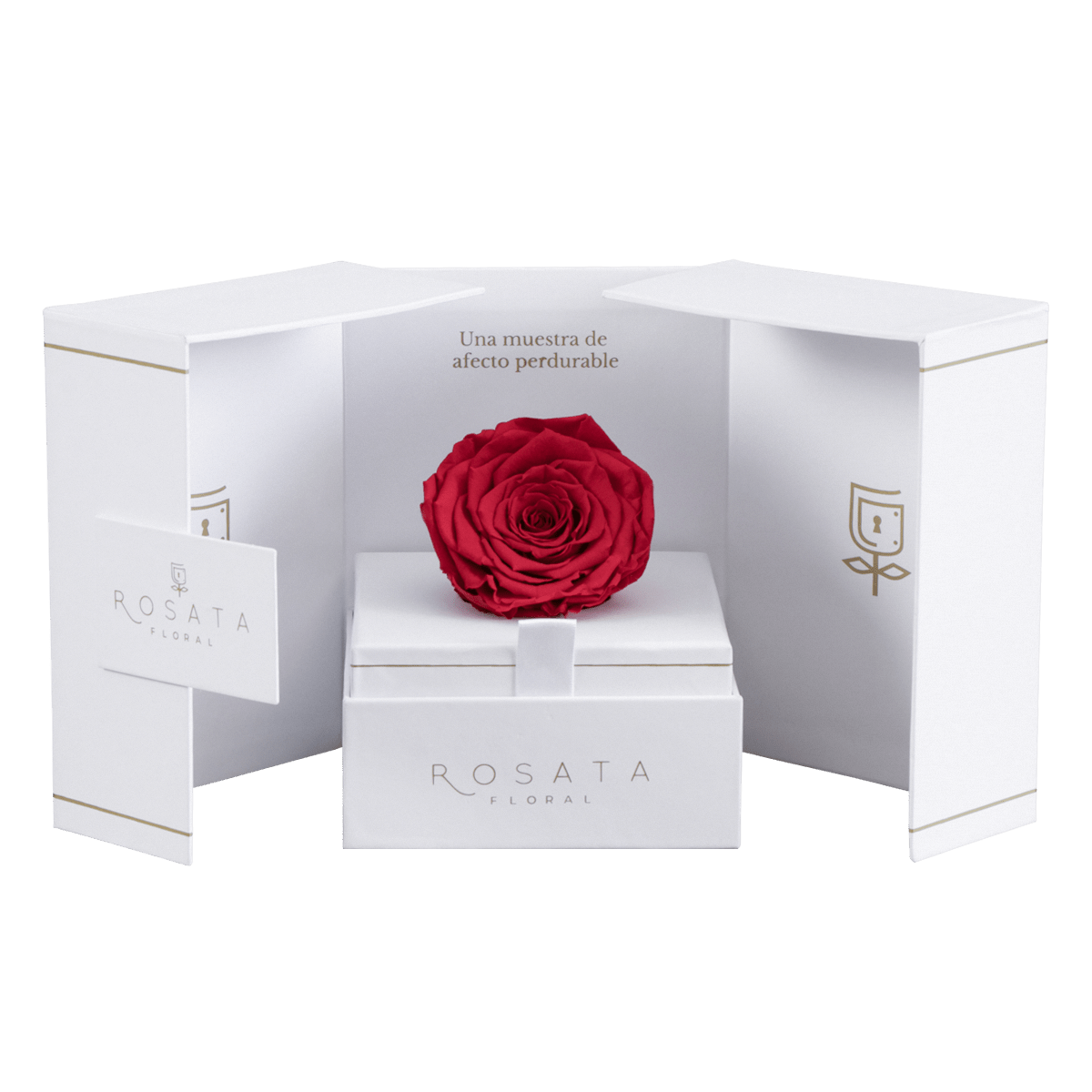 Eternal White - arreglo de rosas - Rosata Floral