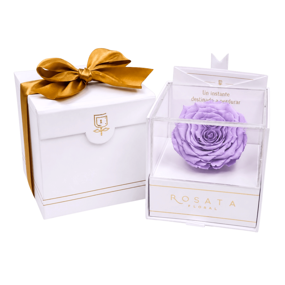 Everty White - arreglo de rosas - Rosata Floral