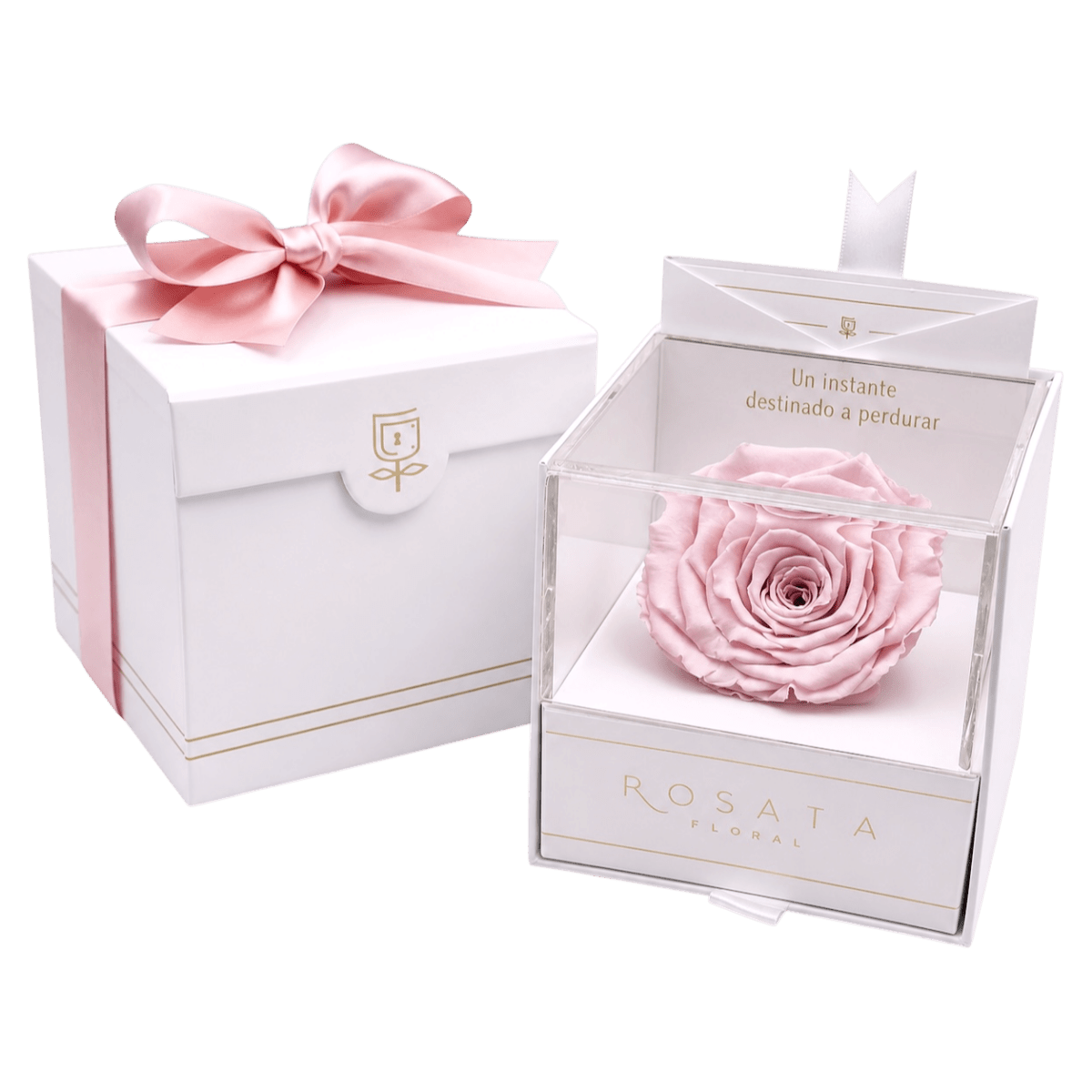 Everty White - arreglo de rosas - Rosata Floral