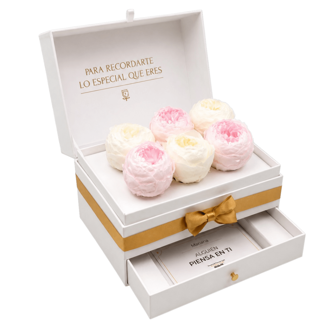 Cofret White - 6 Peonias eternas en cofre - arreglo de rosas - Rosata Floral