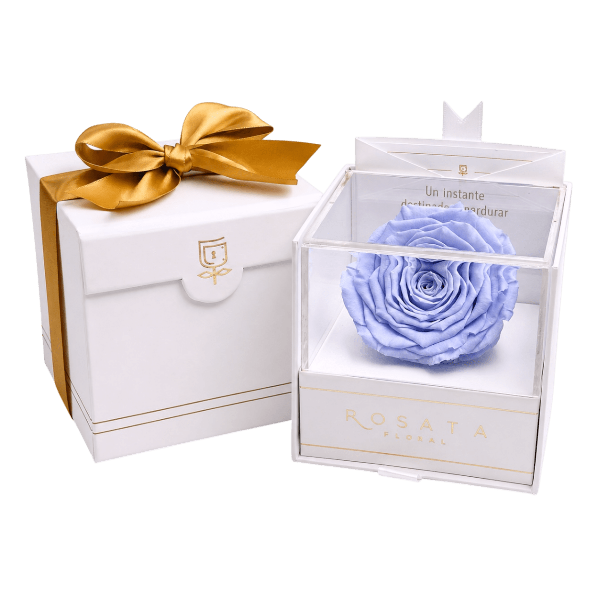 Everty White - arreglo de rosas - Rosata Floral