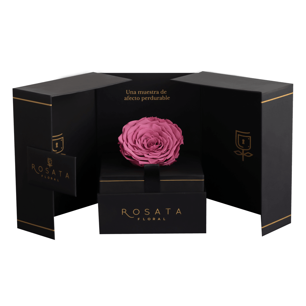 Eternal - Rosa preservada con dedicatoria - arreglo de rosas - Rosata Floral