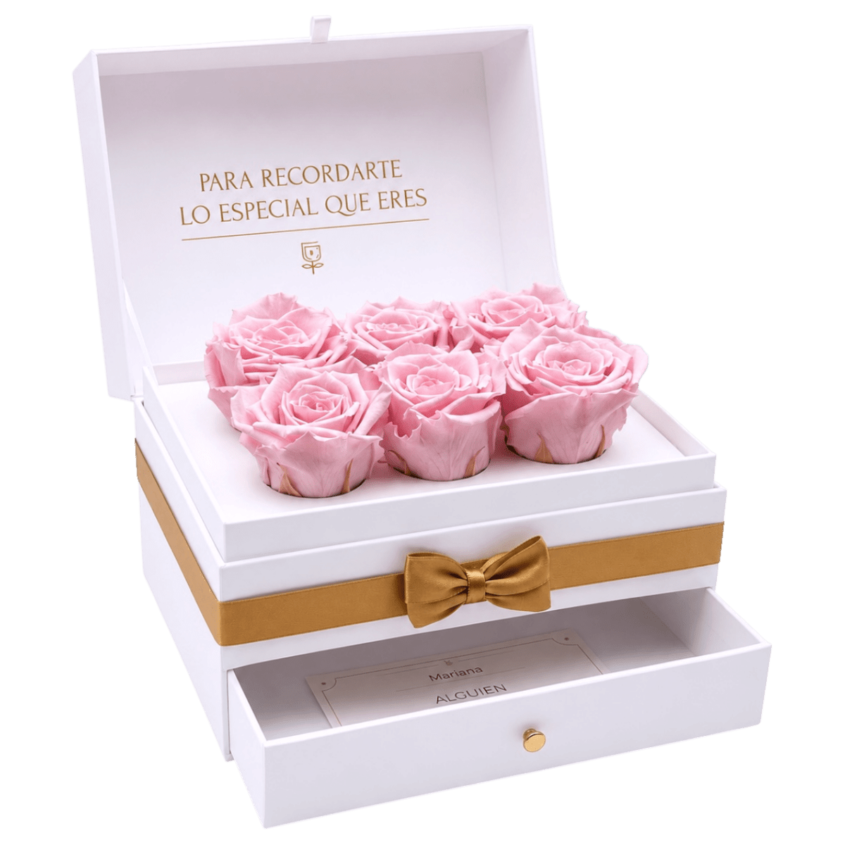Cofret White | 6 Rosas - arreglo de rosas - Rosata Floral