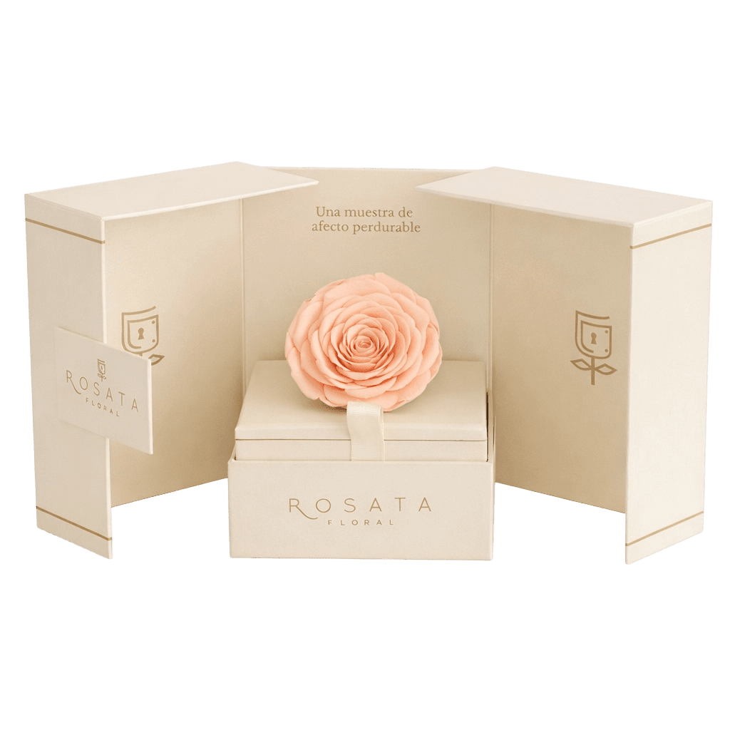 Eternal Champagne - arreglo de rosas - Rosata Floral