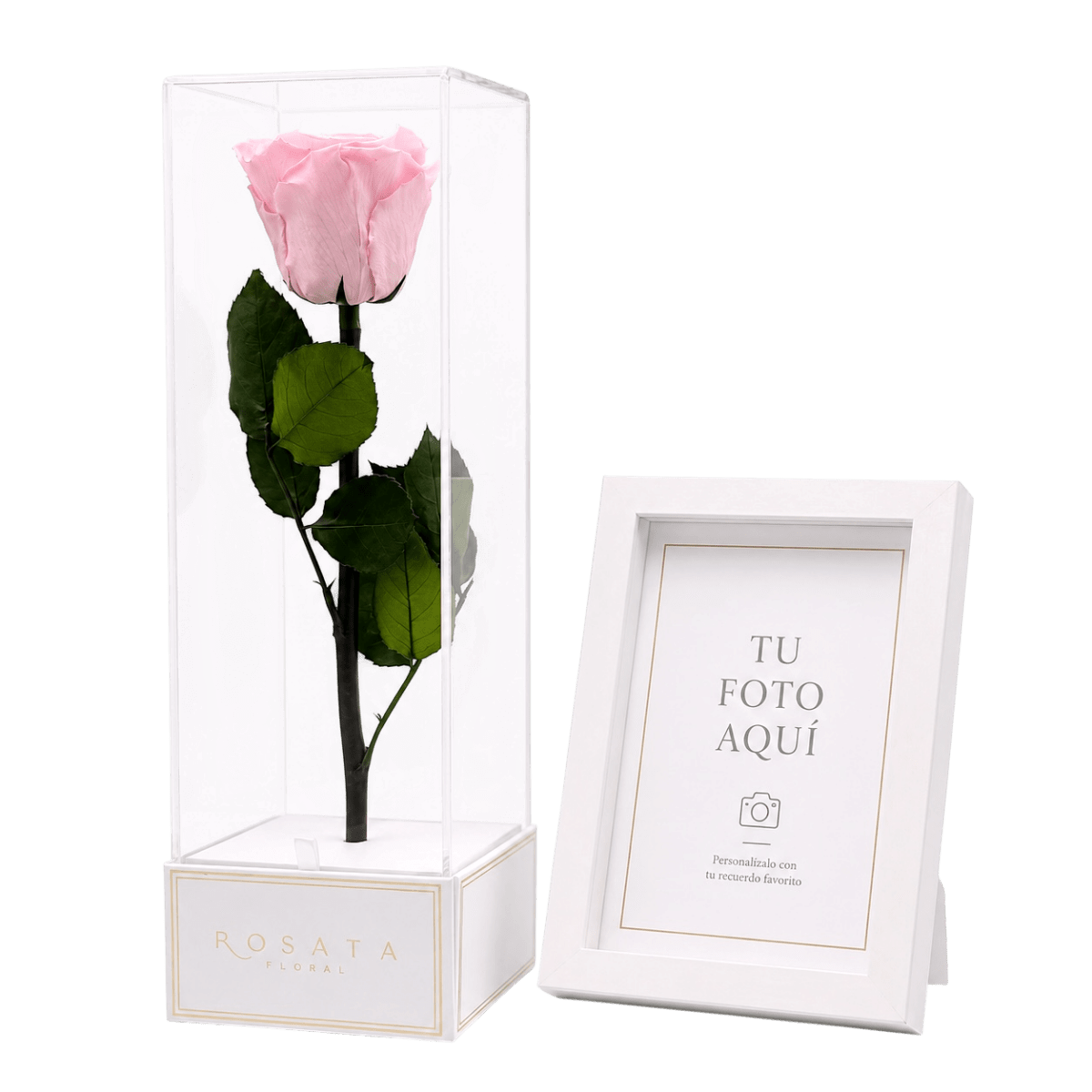 IMPERIORA WHITE | CON MARCO Y FOTO - arreglo de rosas - Rosata Floral
