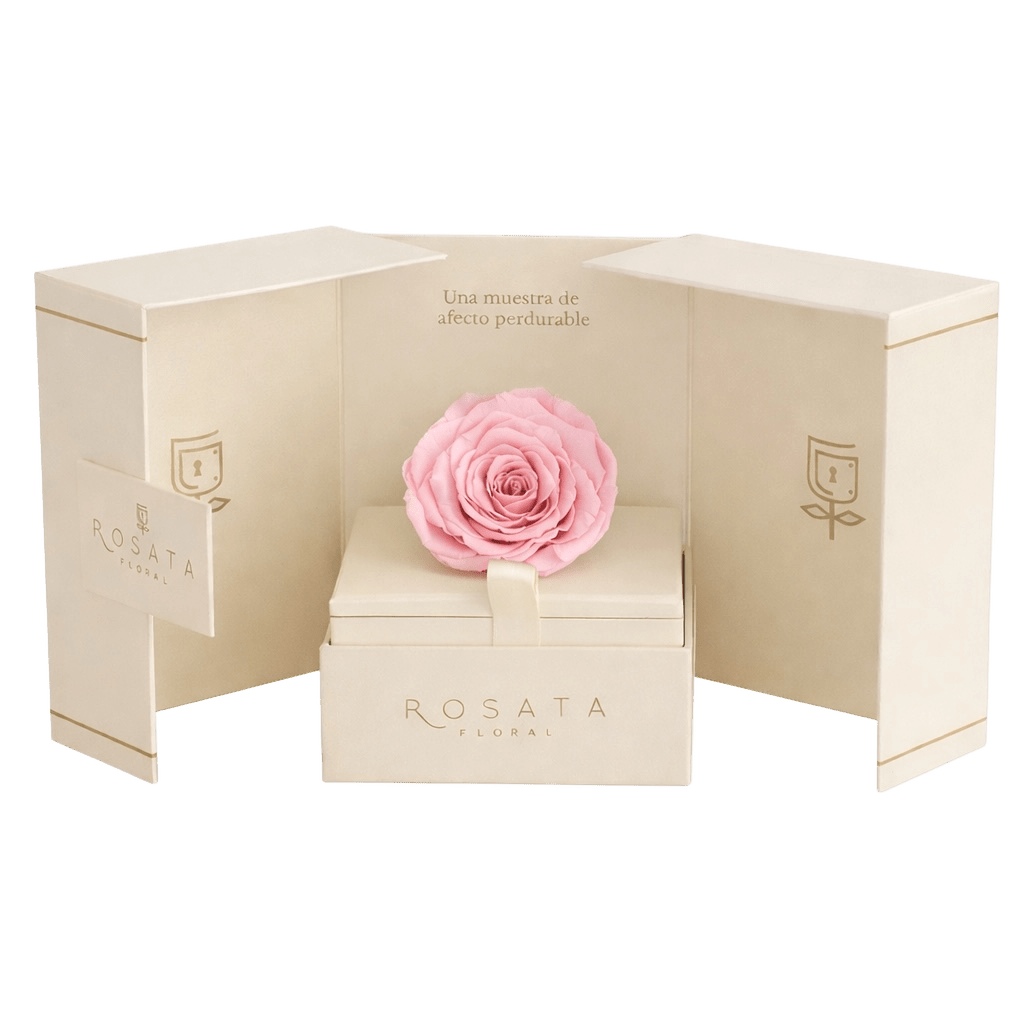 Eternal Champagne Rosa - arreglo de rosas - Rosata Floral