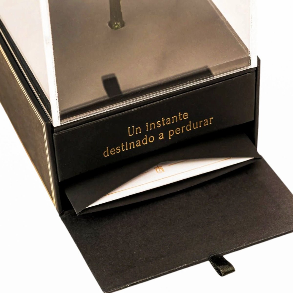 Imperiora Blanca - arreglo de rosas - Rosata Floral