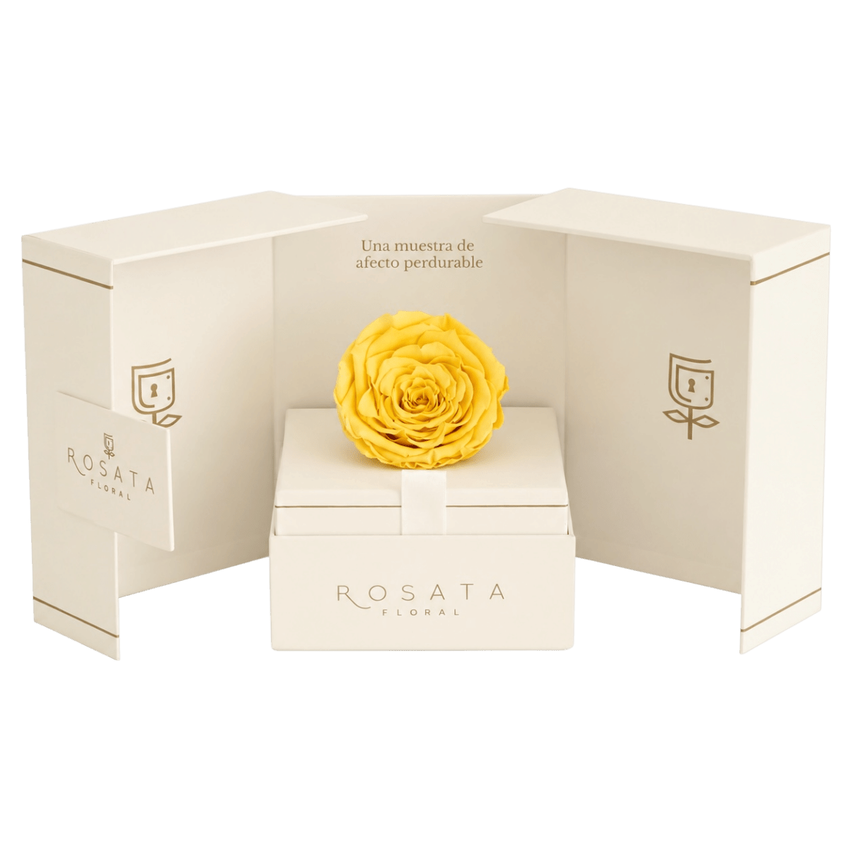Eternal Champagne - arreglo de rosas - Rosata Floral