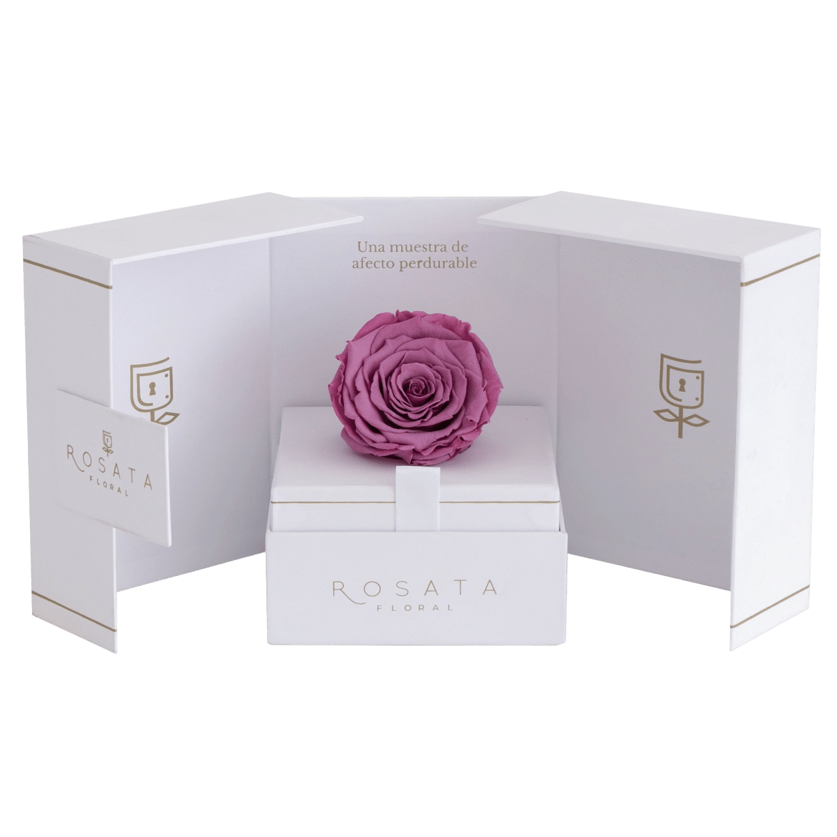 Eternal White Fucsia - arreglo de rosas - Rosata Floral