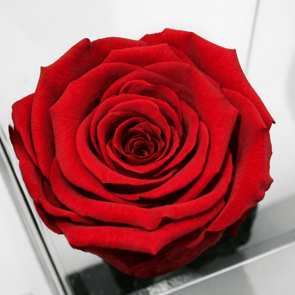 Imperiora - arreglo de rosas - Rosata Floral