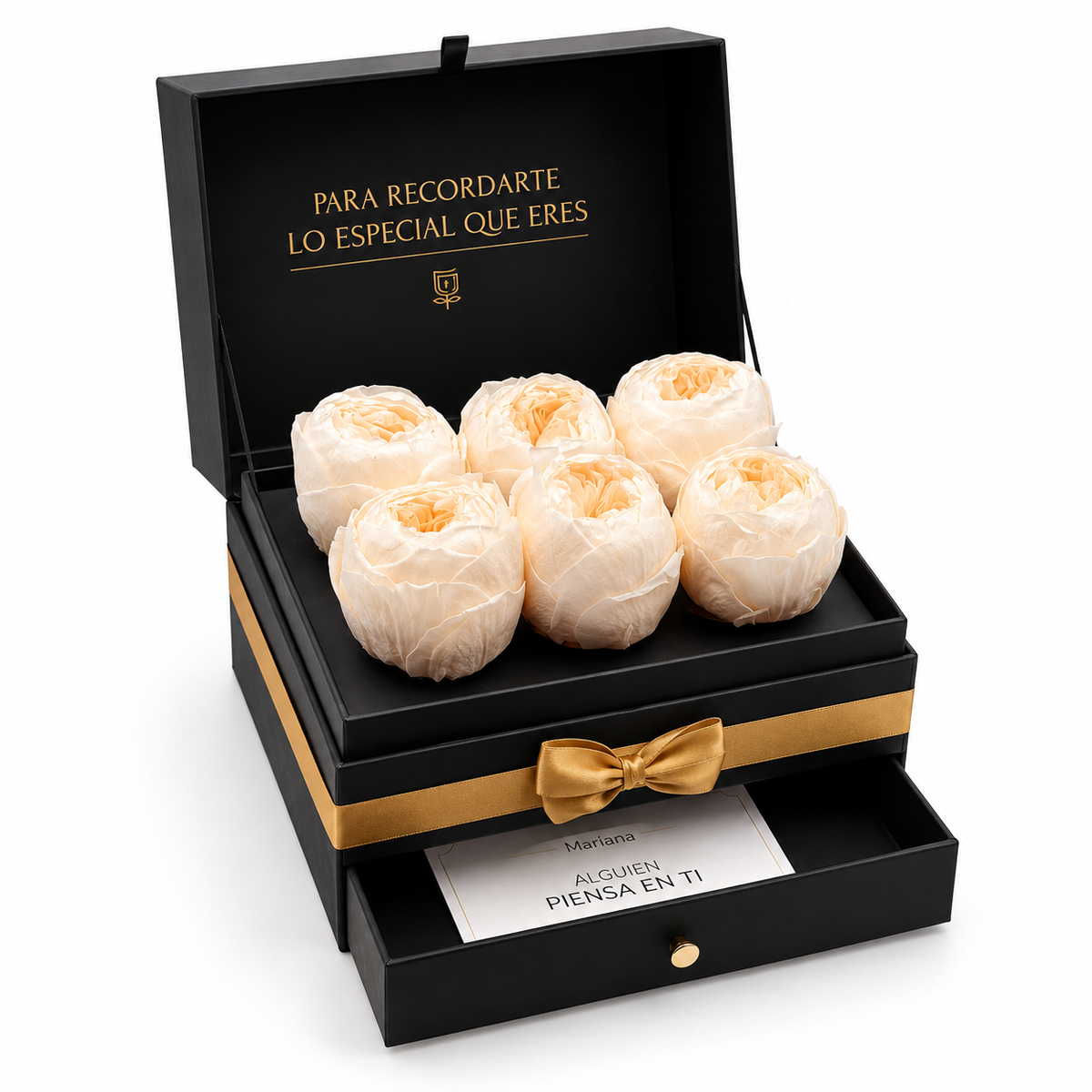 Cofret | 6 Peonias