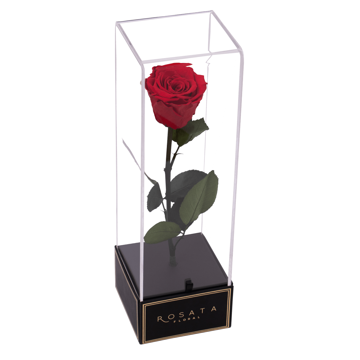 Imperiora - arreglo de rosas - Rosata Floral