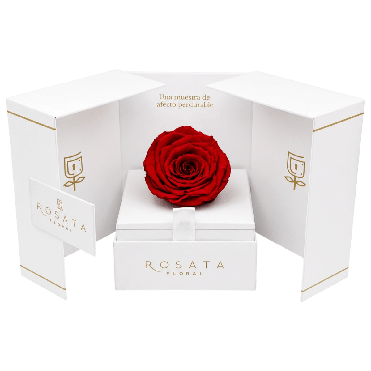 Eternal White - arreglo de rosas - Rosata Floral