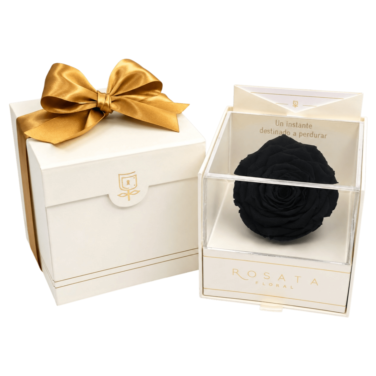 Everty Champagne - arreglo de rosas - Rosata Floral