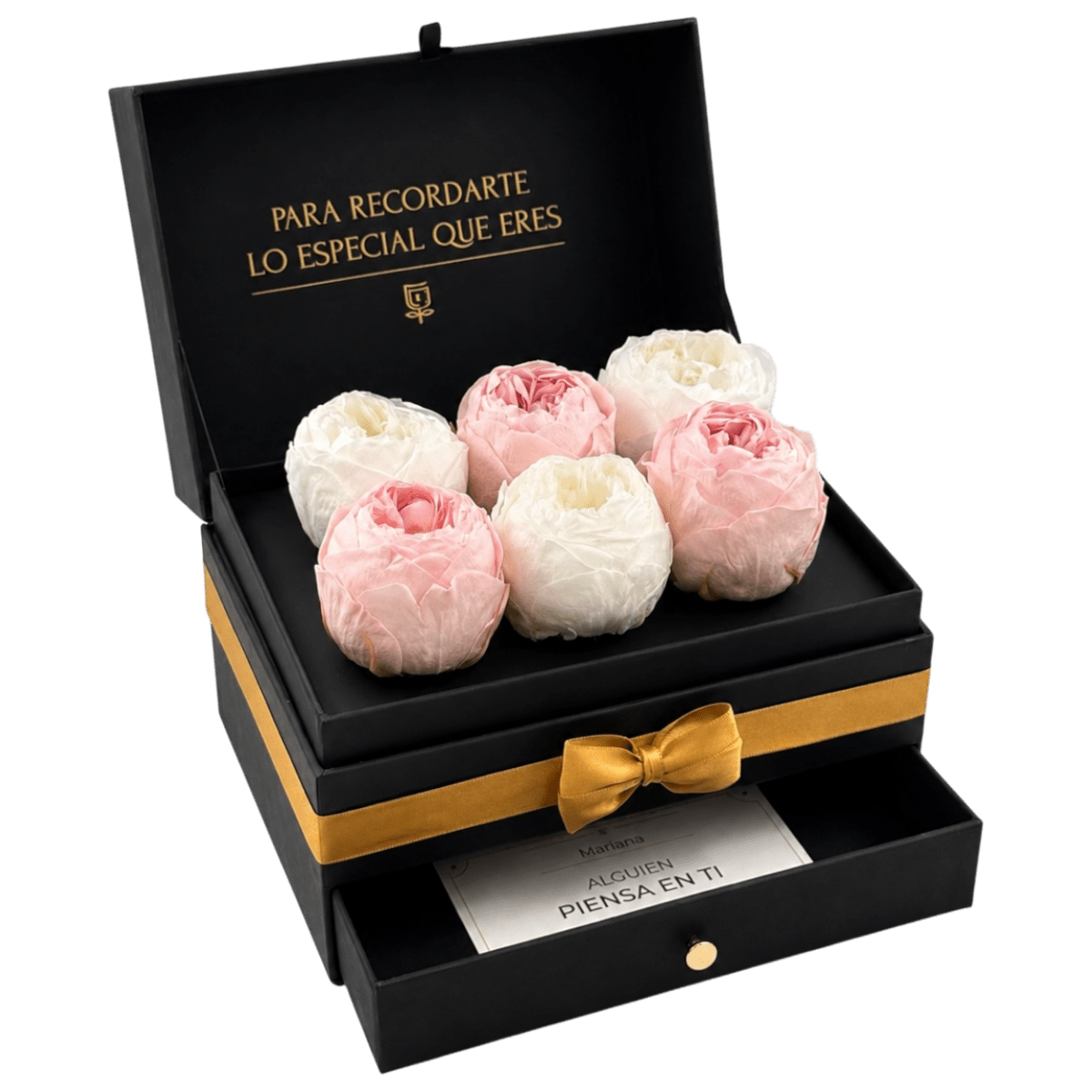 Cofret | 6 Peonias - arreglo de rosas - Rosata Floral