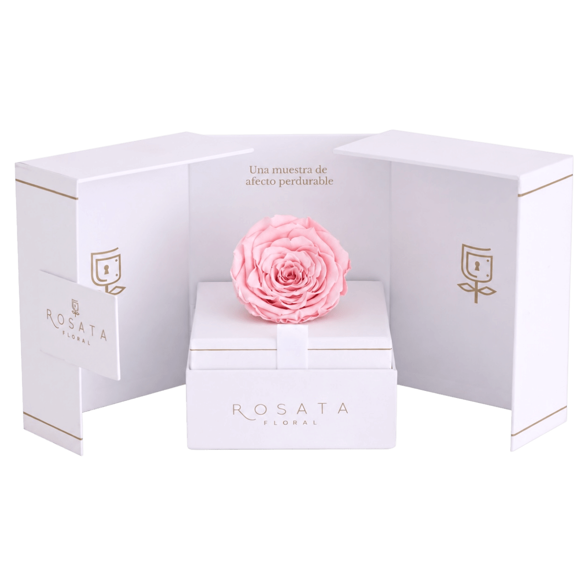 Eternal White - arreglo de rosas - Rosata Floral