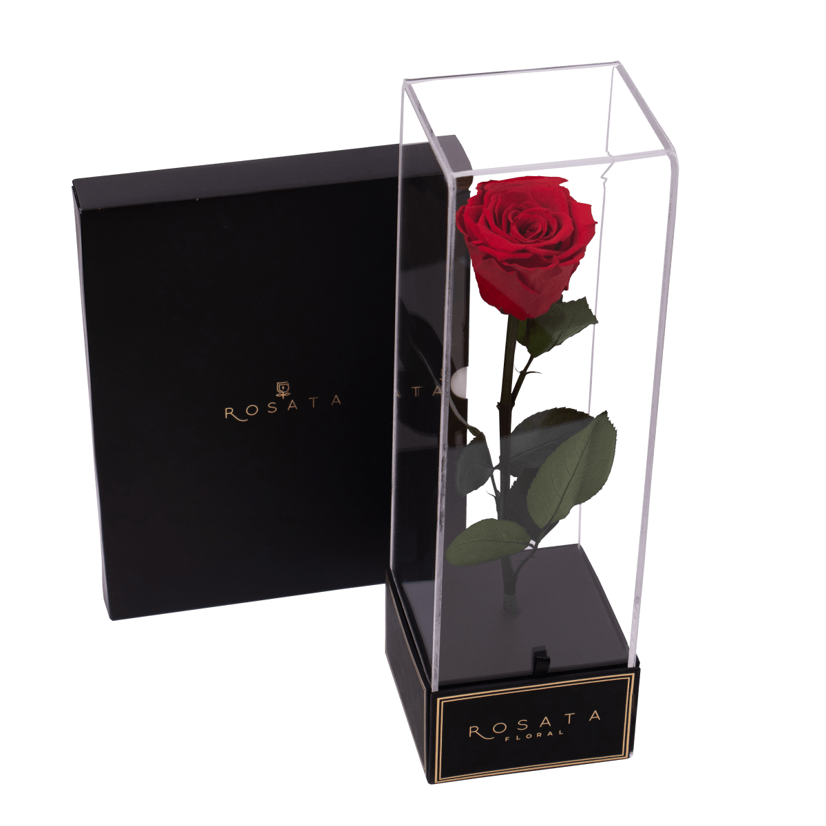Imperiora con foto enmarcada - arreglo de rosas - Rosata Floral