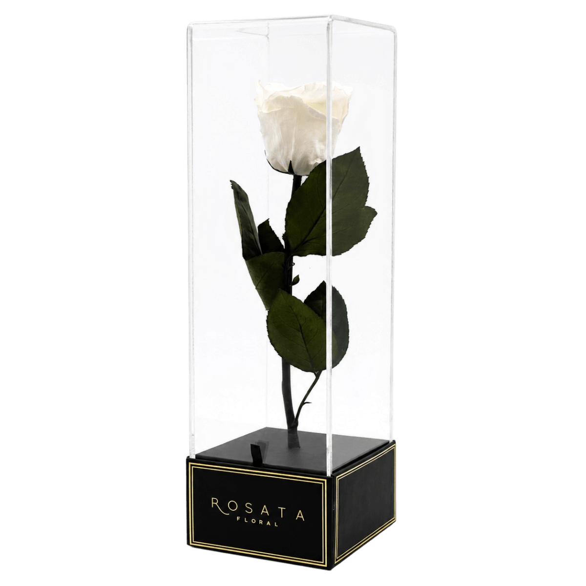 Imperiora Blanca - arreglo de rosas - Rosata Floral