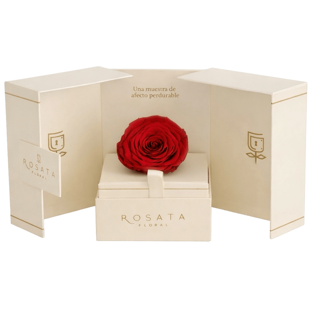 Eternal Champagne - arreglo de rosas - Rosata Floral