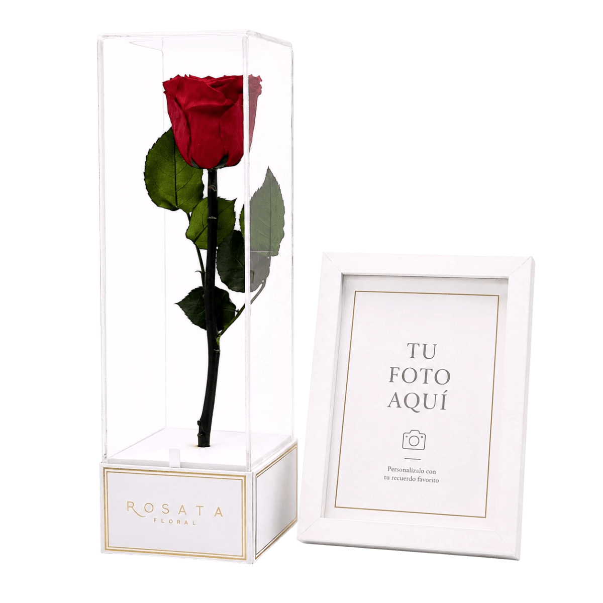 IMPERIORA WHITE | CON MARCO Y FOTO - arreglo de rosas - Rosata Floral