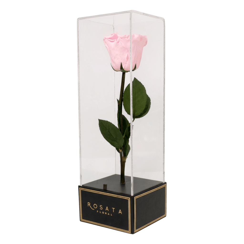 Imperiora Rosa - arreglo de rosas - Rosata Floral
