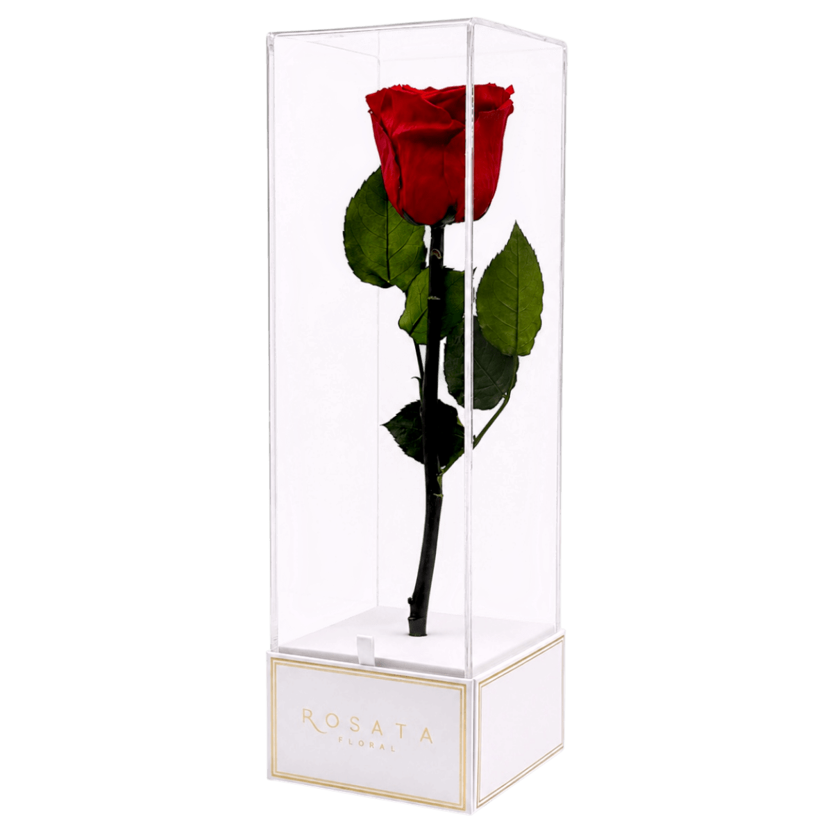 Imperiora White - arreglo de rosas - Rosata Floral