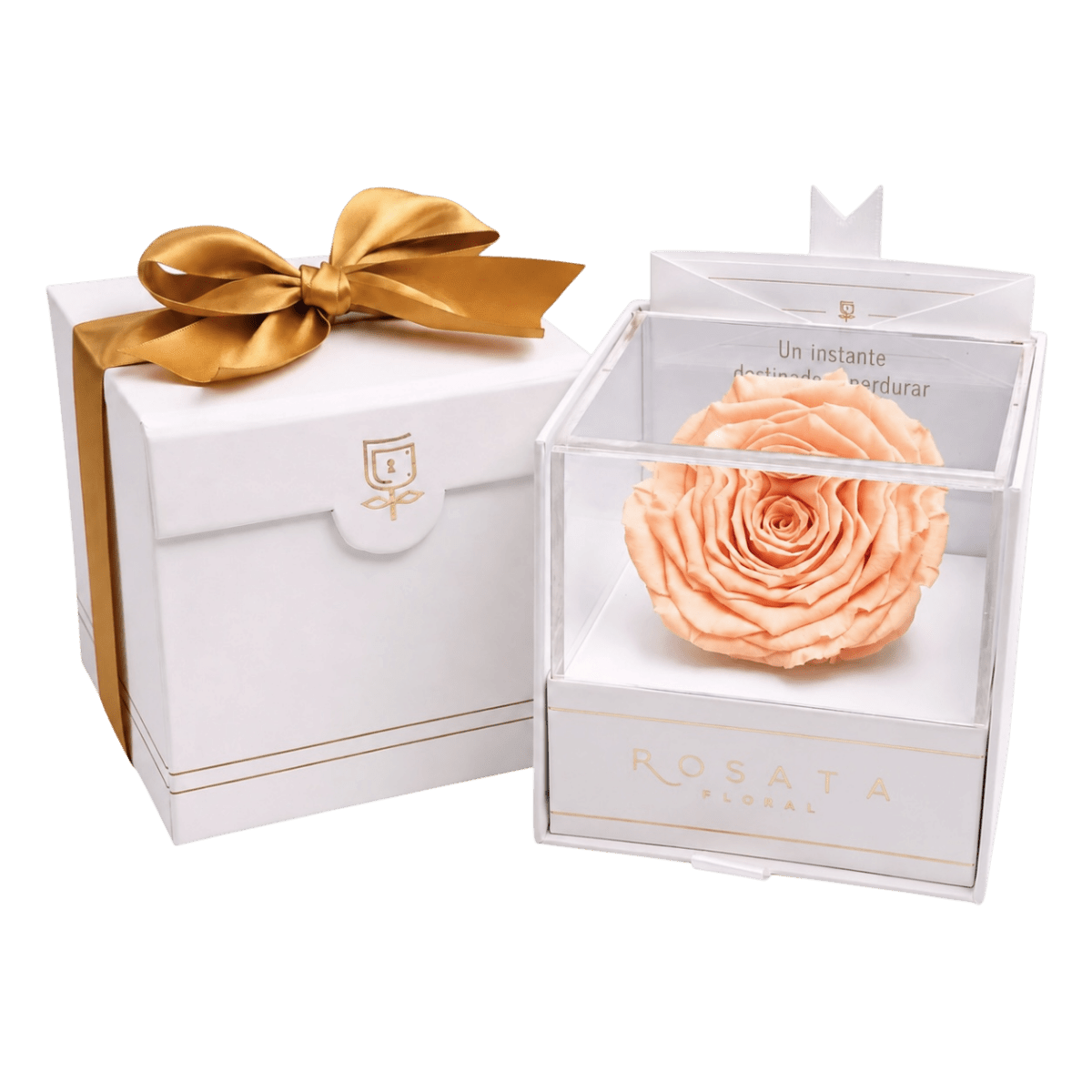 Everty White - arreglo de rosas - Rosata Floral