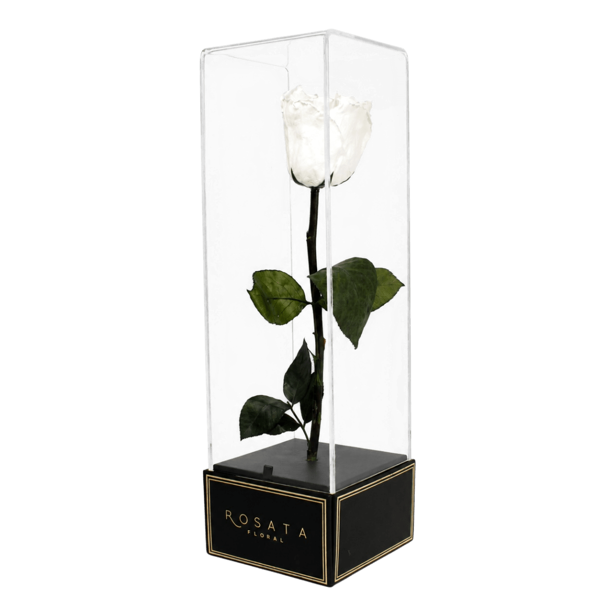 Imperiora Blanca - arreglo de rosas - Rosata Floral