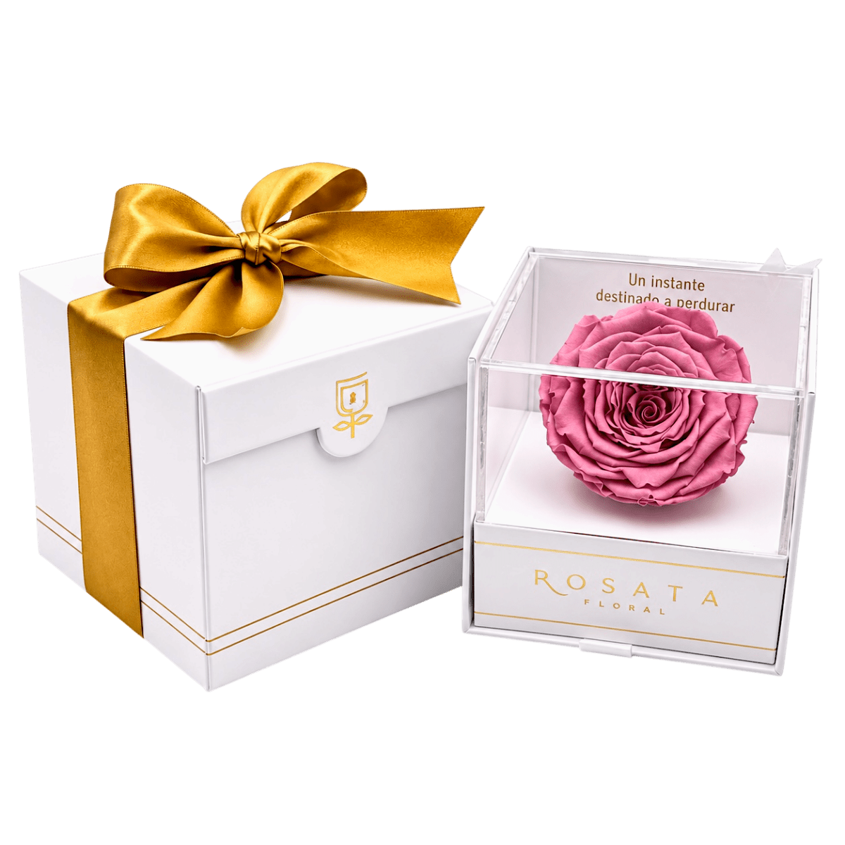 Everty White - arreglo de rosas - Rosata Floral