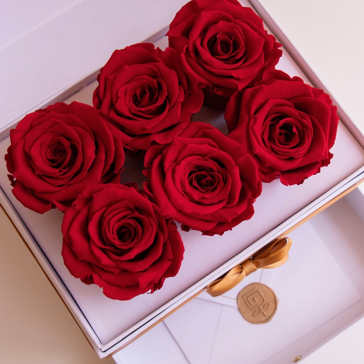 Cofret White - 6 rosas eternas - arreglo de rosas - Rosata Floral