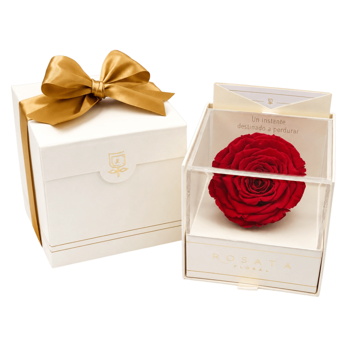 Everty Champagne - arreglo de rosas - Rosata Floral
