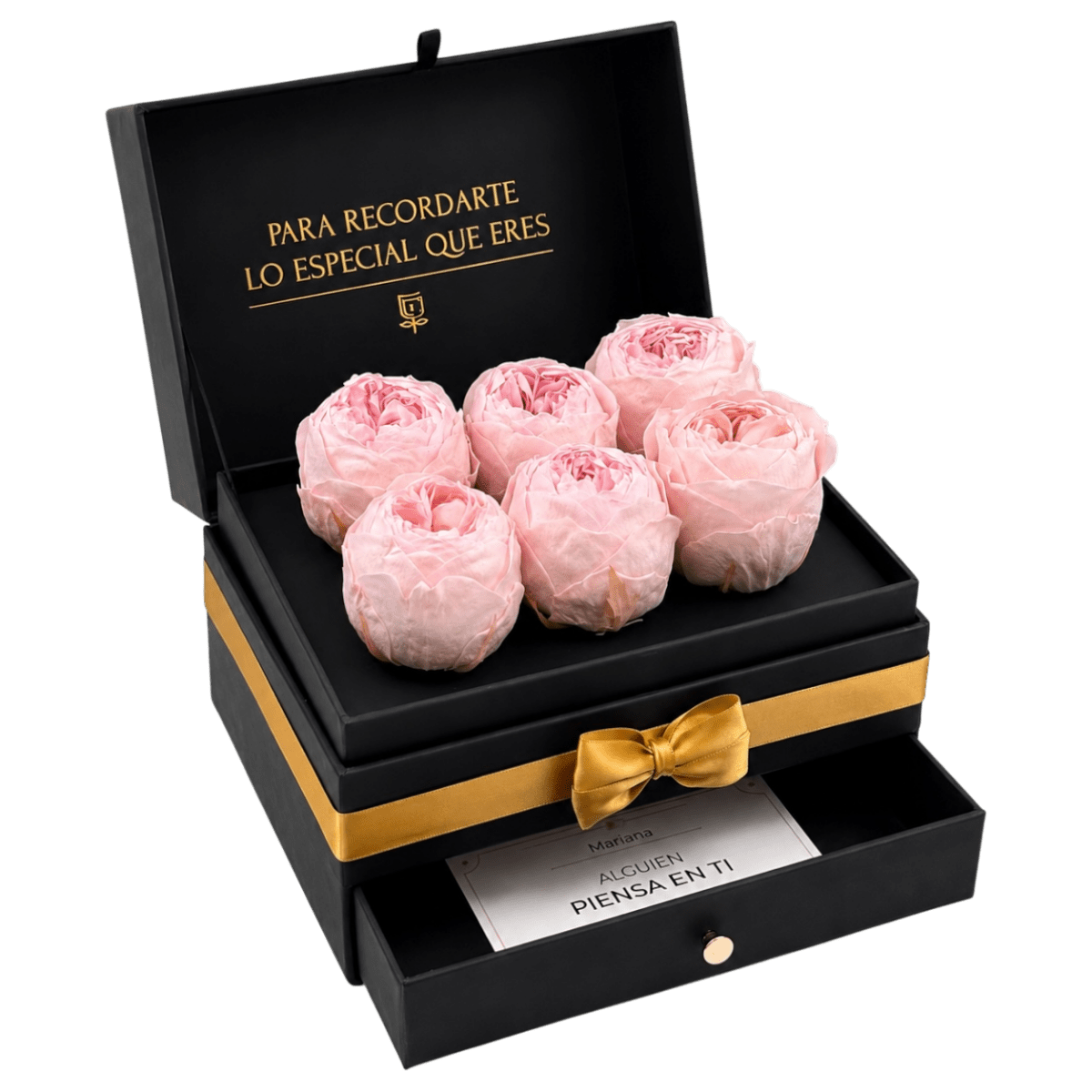 Cofret | 6 Peonias - arreglo de rosas - Rosata Floral