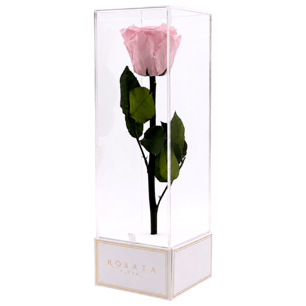 Imperiora White Rosa - arreglo de rosas - Rosata Floral