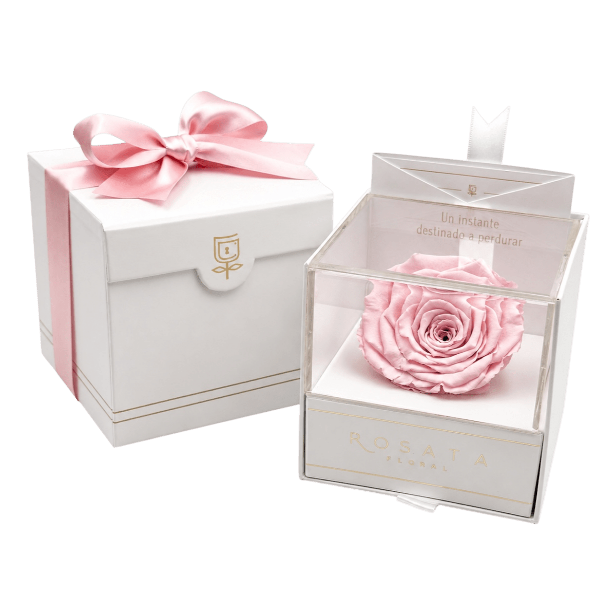 Everty White - arreglo de rosas - Rosata Floral