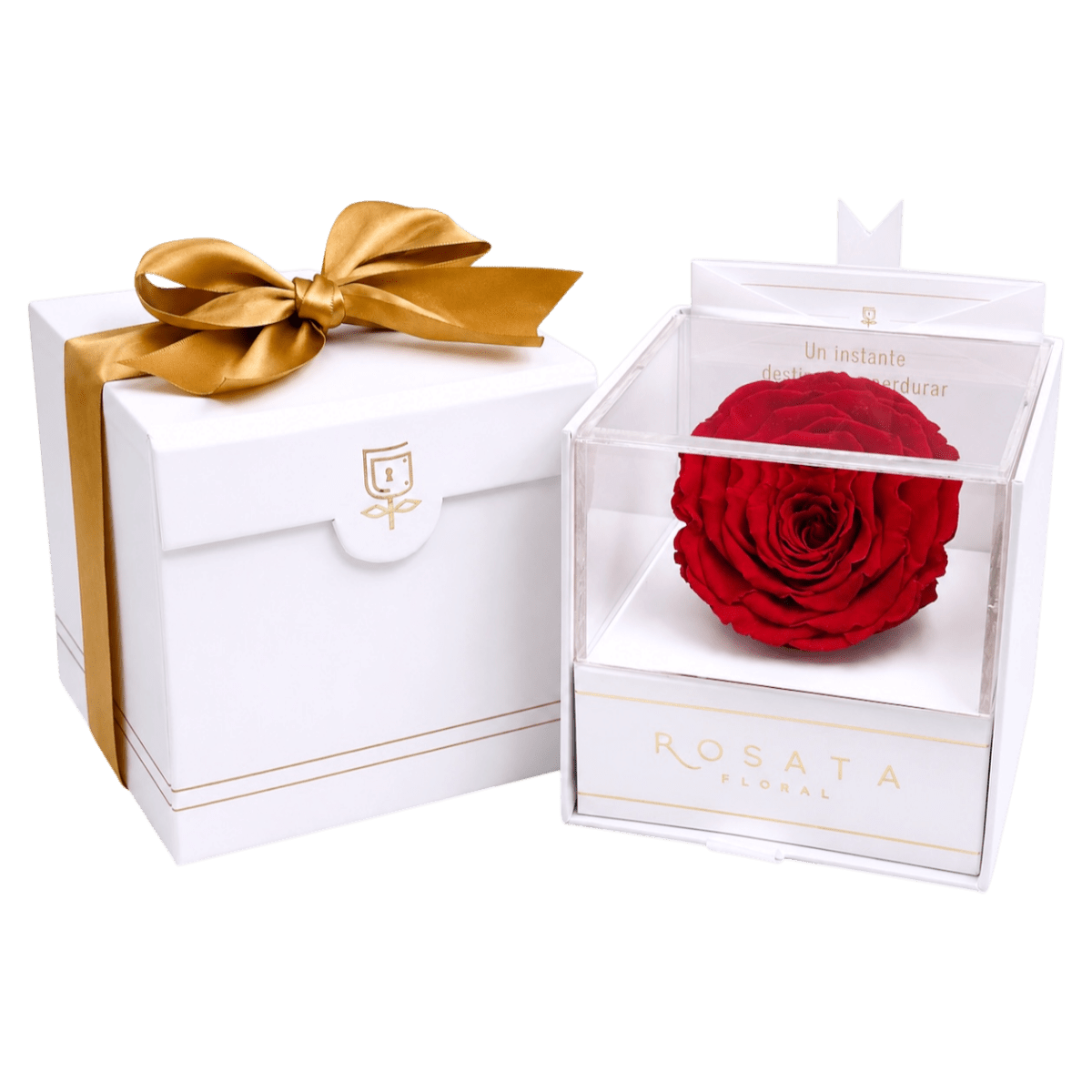 Everty White - arreglo de rosas - Rosata Floral