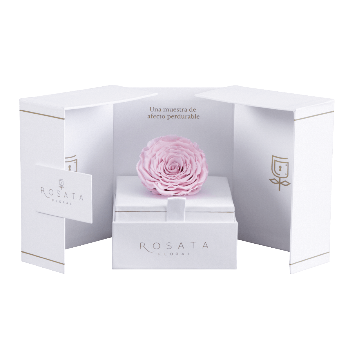 Eternal White Rosa - arreglo de rosas - Rosata Floral