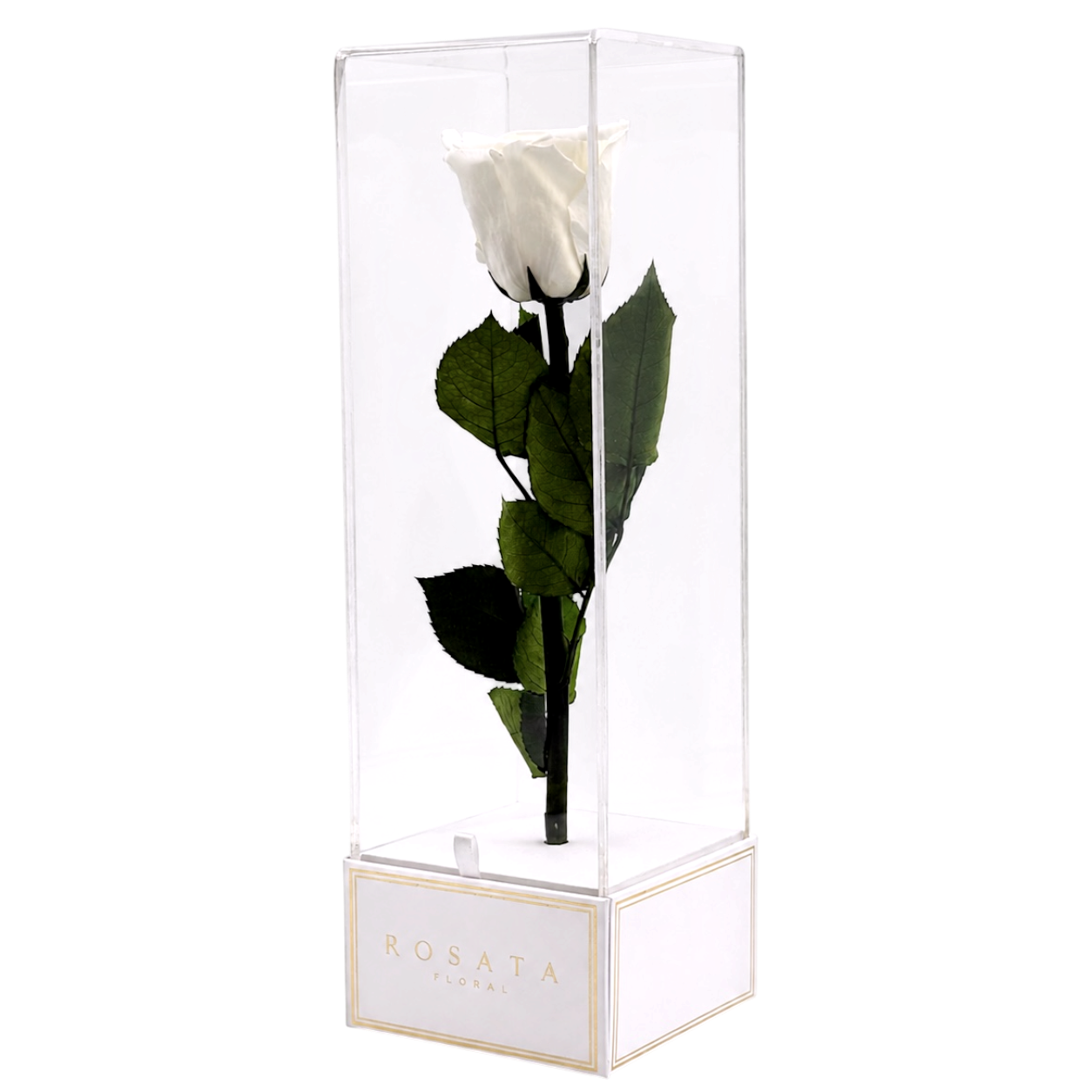 Imperiora White Blanca