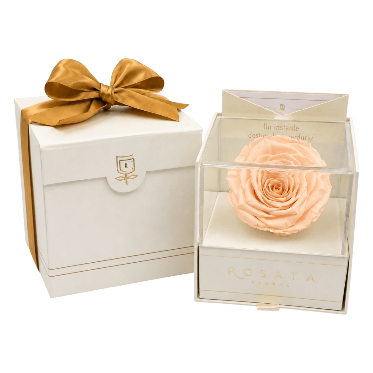 Everty Champagne - arreglo de rosas - Rosata Floral