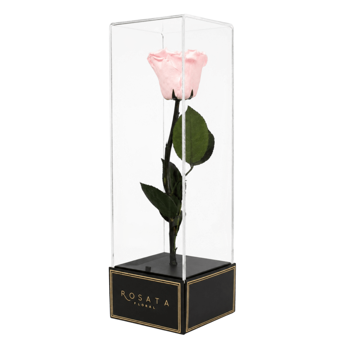 Imperiora Rosa - arreglo de rosas - Rosata Floral