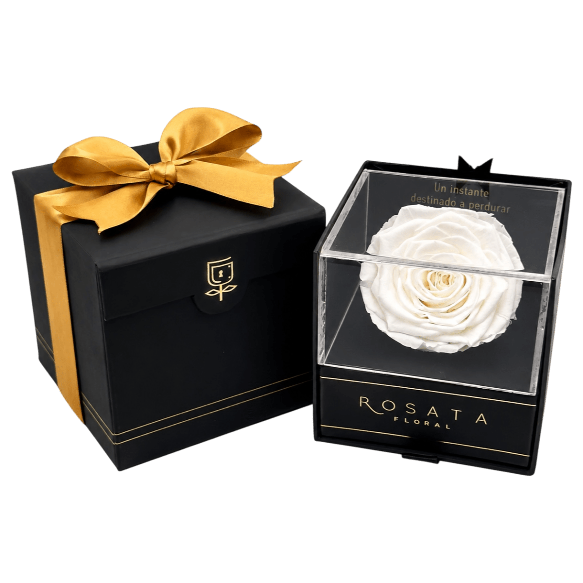 Everty - arreglo de rosas - Rosata Floral