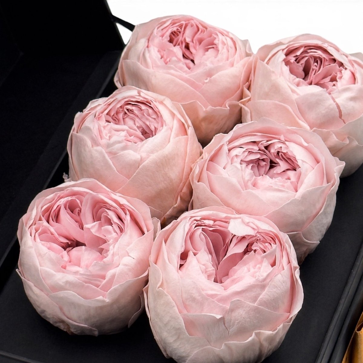 Cofret - 6 Peonias, foto y chocolates - arreglo de rosas - Rosata Floral